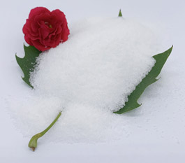 Quale tipo di poliacrilammide &egrave; pi&ugrave; efficace per il trattamento delle acque reflue per il lavaggio auto?