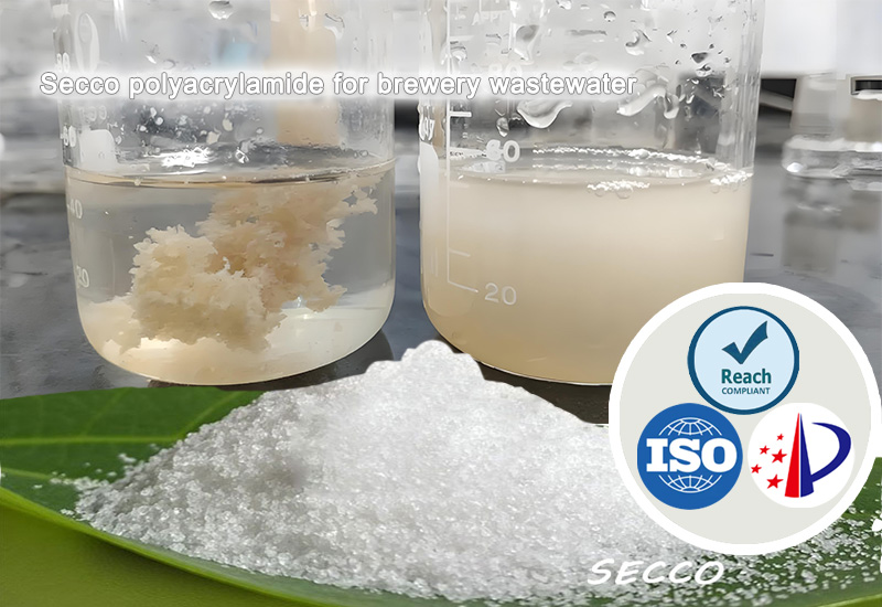 Selezione ed efficacia della poliacrilammide (PAM) nel trattamento delle acque reflue della birreria